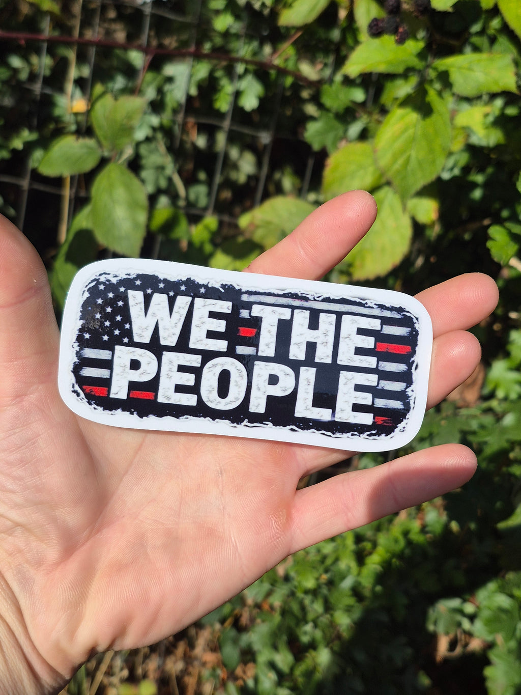 We The People Vinyl Sticker